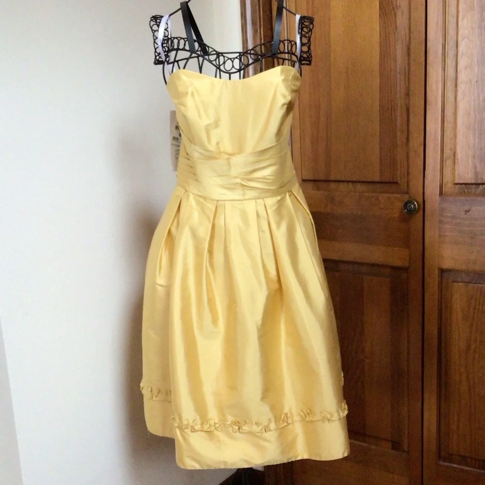 Alfred Angelo Silk Dress, Size 8, New - Picture 2 of 8
